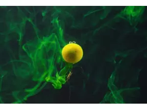 TANDEM BAITS SuperFeed Diffusion fluo Boilies 14-16mm / 90g