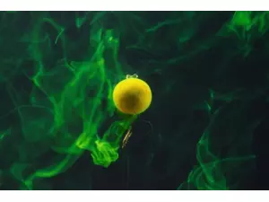 TANDEM BAITS SuperFeed Diffusion fluo Boilies 14-16mm / 90g