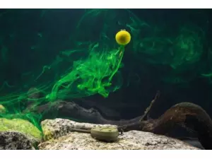 TANDEM BAITS SuperFeed Diffusion fluo Boilies 14-16mm / 90g