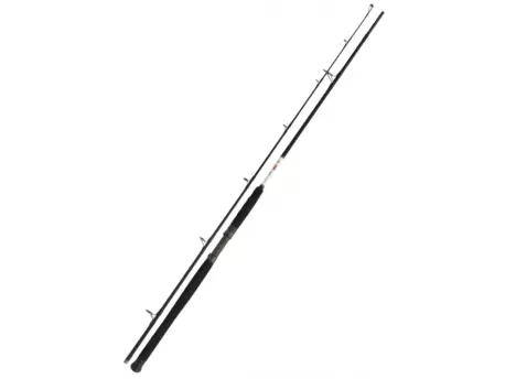 FOX RAGE Catfish Spin 2,6m 120-200g