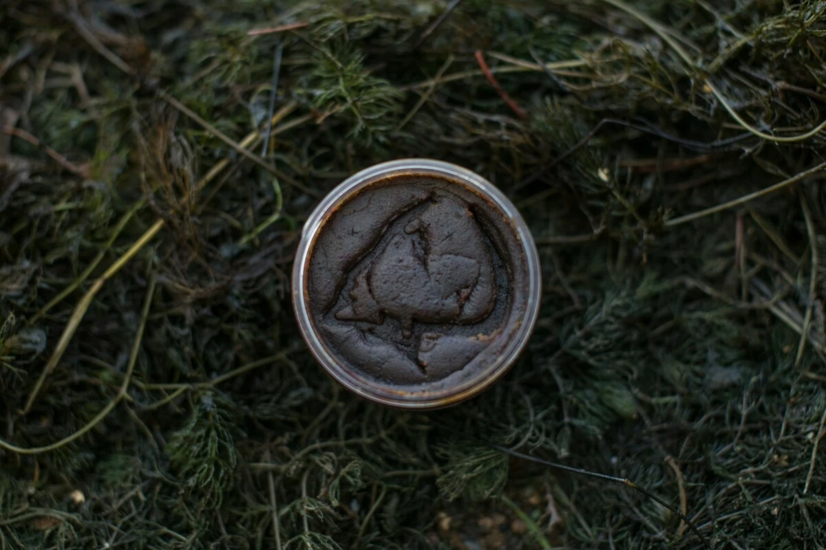 LK BAITS Boilie Paste 250g Mussel