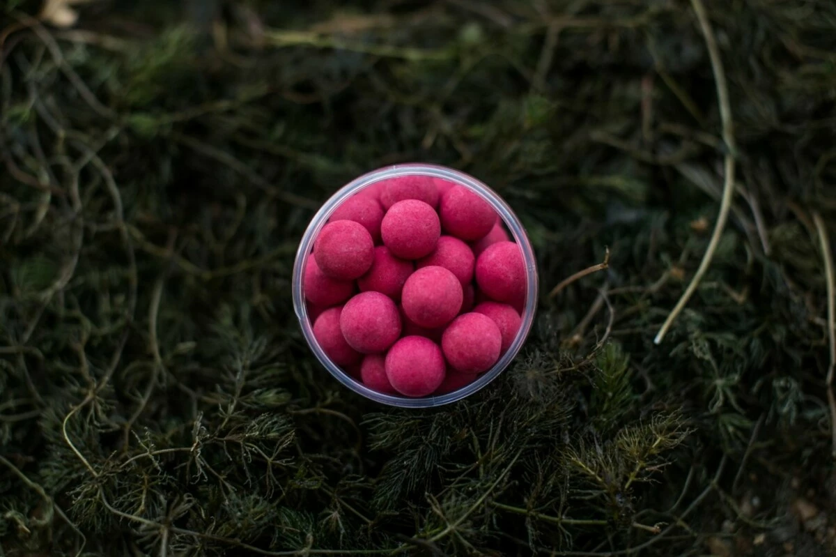 LK BAITS Pop-up Euro Economic Spice Shrimp + dip