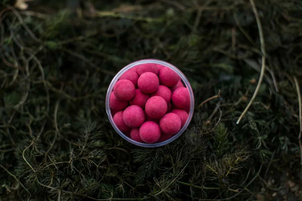 LK BAITS Pop-up Euro Economic Spice Shrimp + dip