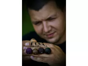 LK BAITS HARD Boilies Black Ptotein 20mm 250ml
