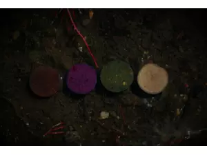 LK BAITS HARD Boilies Black Ptotein 20mm 250ml