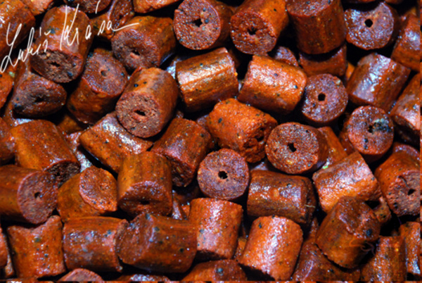 LK Baits Salt Salmon Pellets 10kg, 12mm