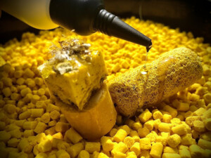 LK Baits Kukuřičné Pelety - Corn Pellets 10kg, 8mm
