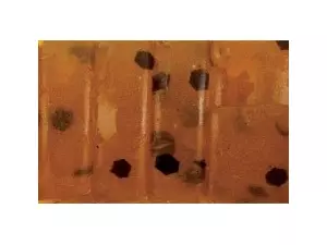 RAPTURE Gumová nástraha Alien Craw Green Pumpkin 2,5cm,12ks/balení