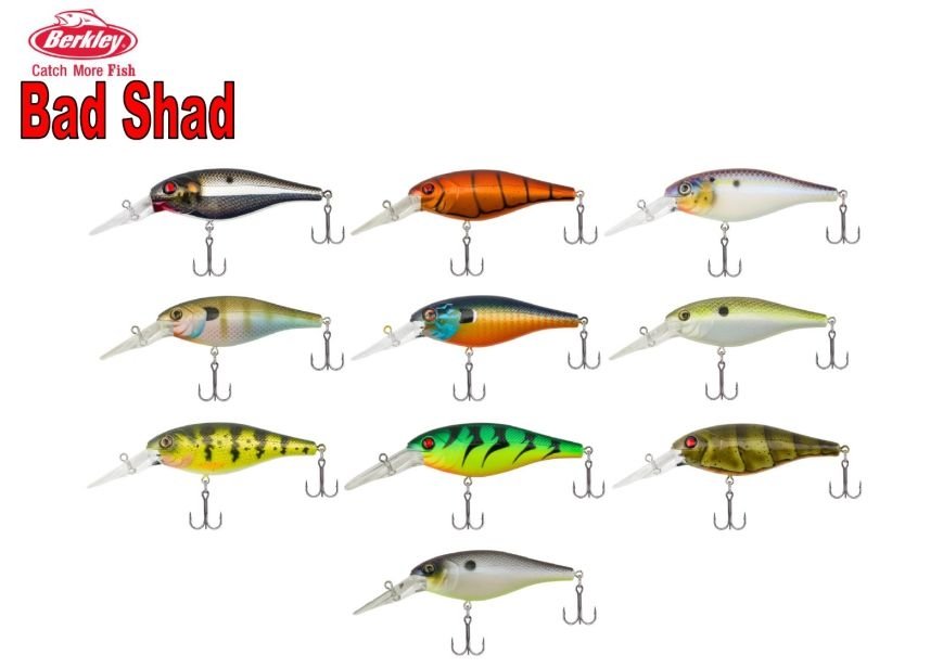 Bagley Balsa B3 BB3-SD Shad Color New In Box OLD STOCK – My Bait Shop, LLC - Foto 5