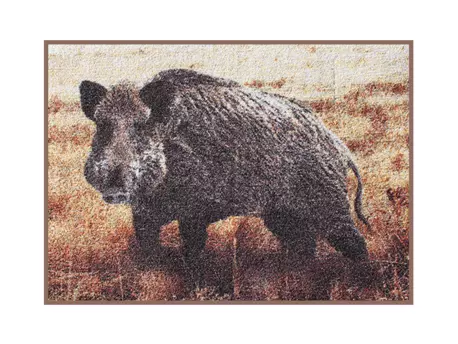 DELPHIN Rohož 3D divočák VÝPRODEJ