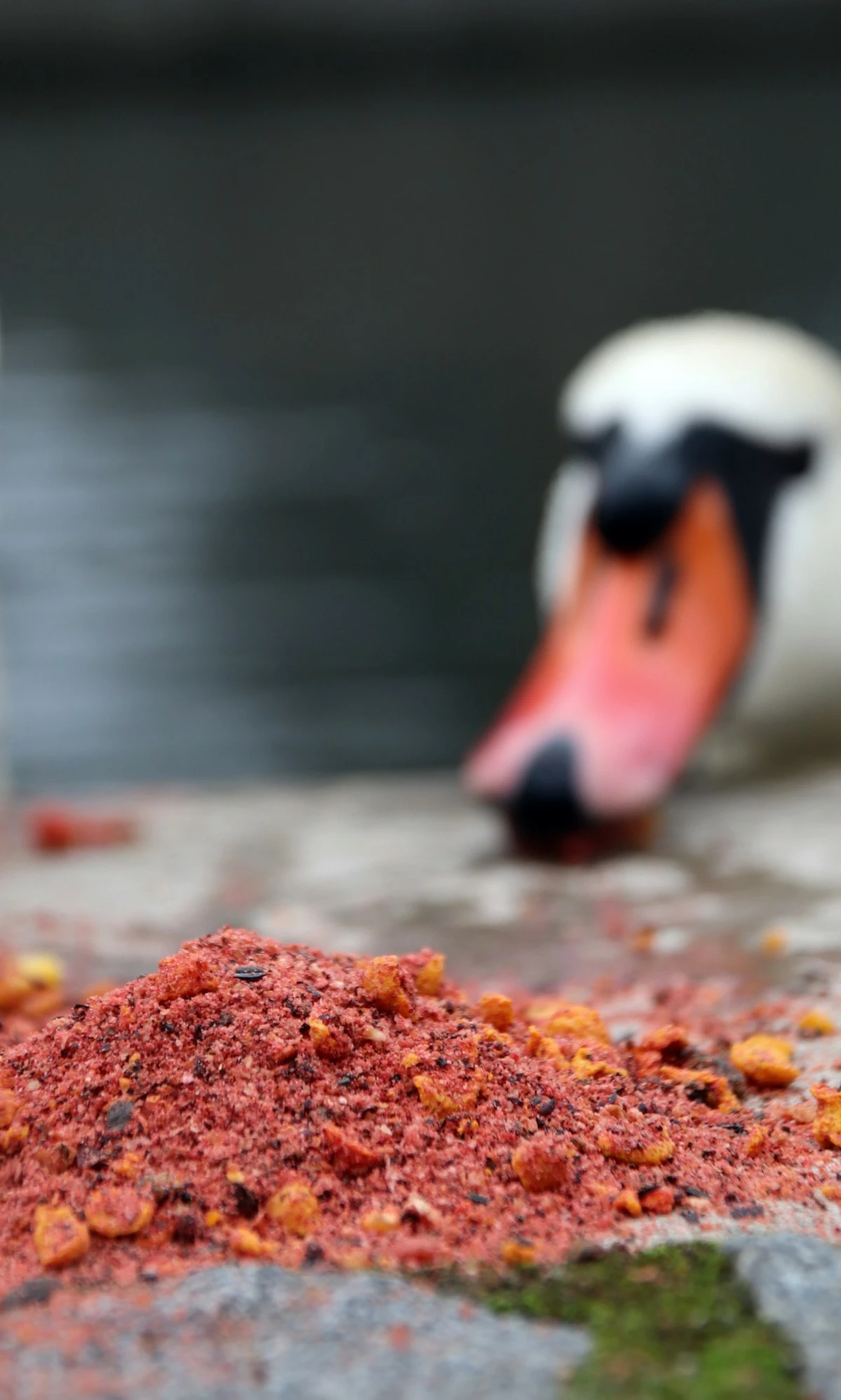 MIVARDI Method mix Rapid Champion