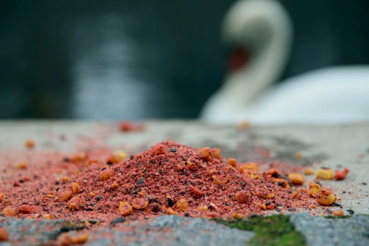 MIVARDI Method mix Rapid Champion