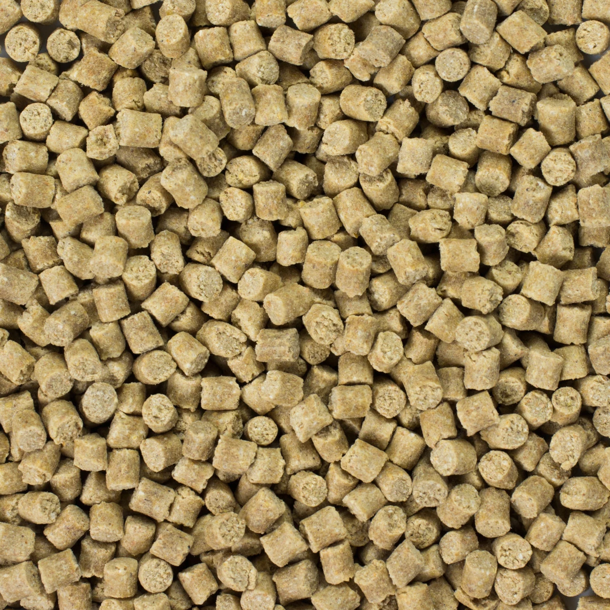 MIKBAITS XXL Method Feeder micro pelety 1kg