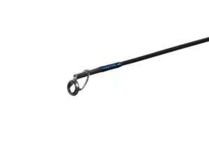 Delphin ZIRCON Spin