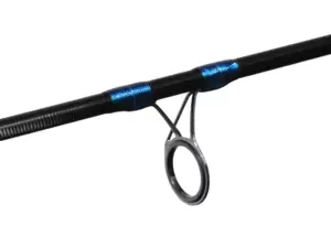 Delphin ZIRCON Spin