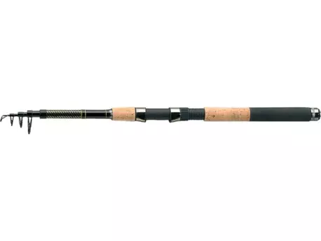 Jaxon Prut Arcadia Tele Travel 2,1m 5-25g