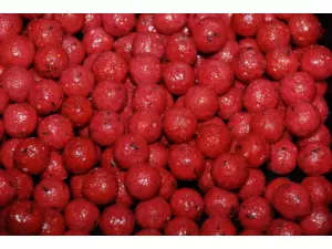 LK Baits Boilie Švestkový koktejl 18mm 1kg J. Kratěna Limitovana edice