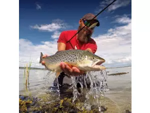 SAVAGE GEAR 3D HORNY HERRING VÝPRODEJ!!