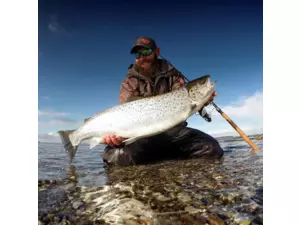 SAVAGE GEAR 3D HORNY HERRING VÝPRODEJ!!