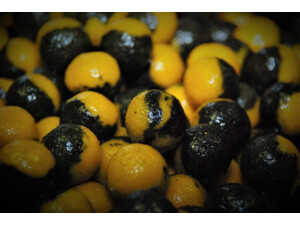 LK Baits Top ReStart Nutric acid/Pineapple  20 mm, 1kg
