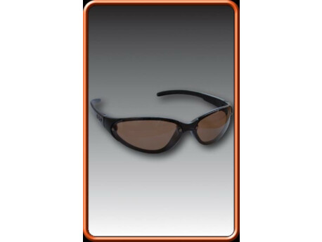 ESP Brýle Polarised Sunglasses Clearview
