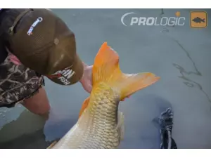 PROLOGIC kšiltovka Born 2 Fish Cap -20% VÝPRODEJ!!