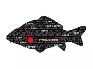 DELPHIN Nálepka KAPR série Words