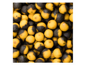 LK Baits Top ReStart Nutric acid/Pineapple  24 mm, 1kg