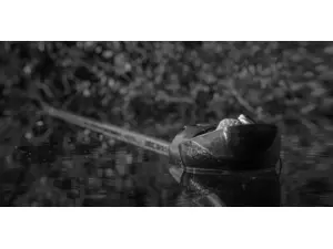 Baiting Pole - 12m zakrmovací tyč Cygnet