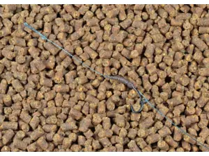 CARP ´R´ US Blowback Rig - Smooth 25 lbs