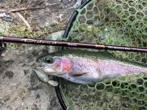 ABU GARCIA DIPLOMAT Nano MGS UL 1,86M 0,8-4G