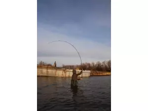 NIKL Bond Girl Power KN - 12“ 3 lbs