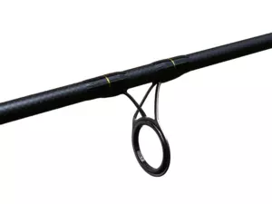Delphin ARMADA CARP BlackWay
