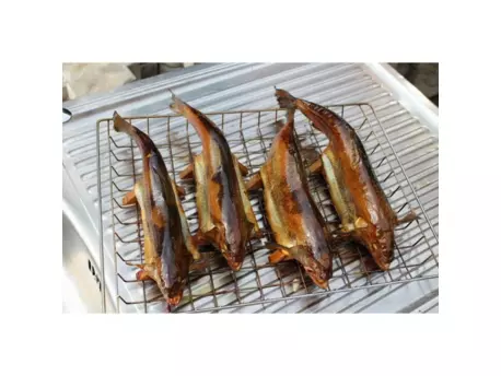 BRADLEY SMOKERS Dřevěný stojánek na uzení pstruhů