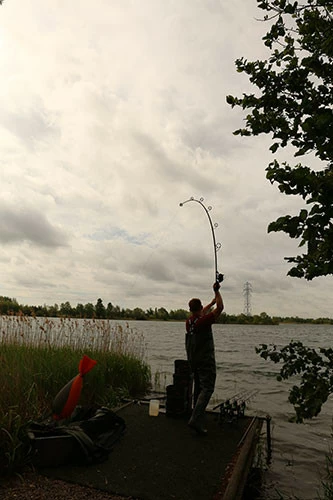 FOX Prut Horizon X5 50mm Ringing Abbr Handle