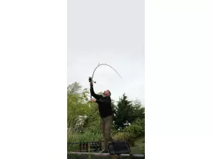 FOX Prut Horizon X5 50mm Ringing Abbr Handle