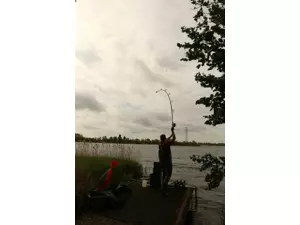 FOX Prut Horizon X5 50mm Ringing Abbr Handle