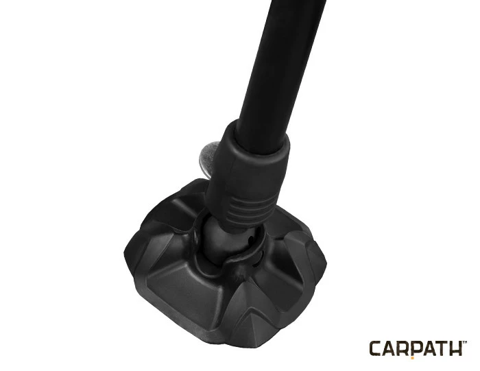 Delphin CM Carpath