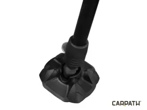 Delphin CM Carpath