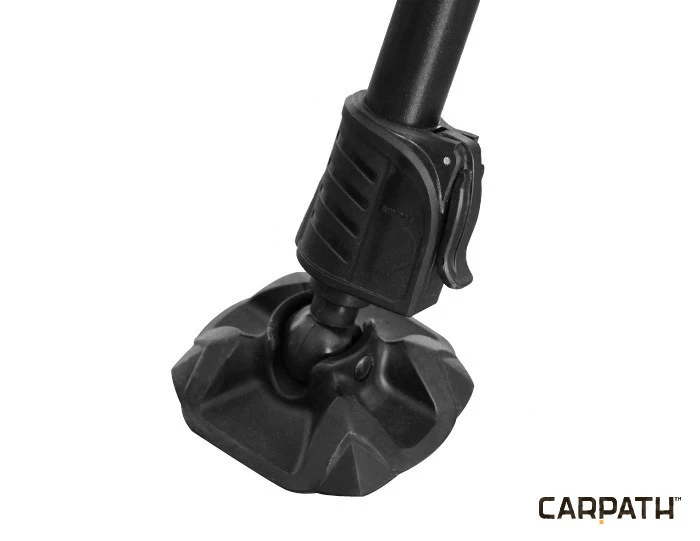 Delphin CX Carpath