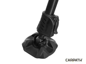 Delphin CX Carpath