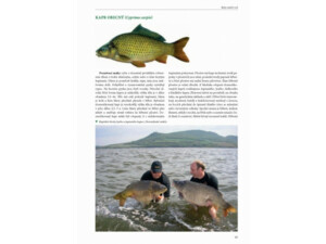 Publikace Rybářství a rybolov