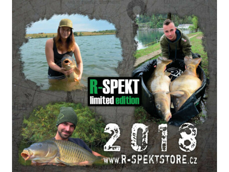 Nástěnný kalendář R-SPEKT 2018
