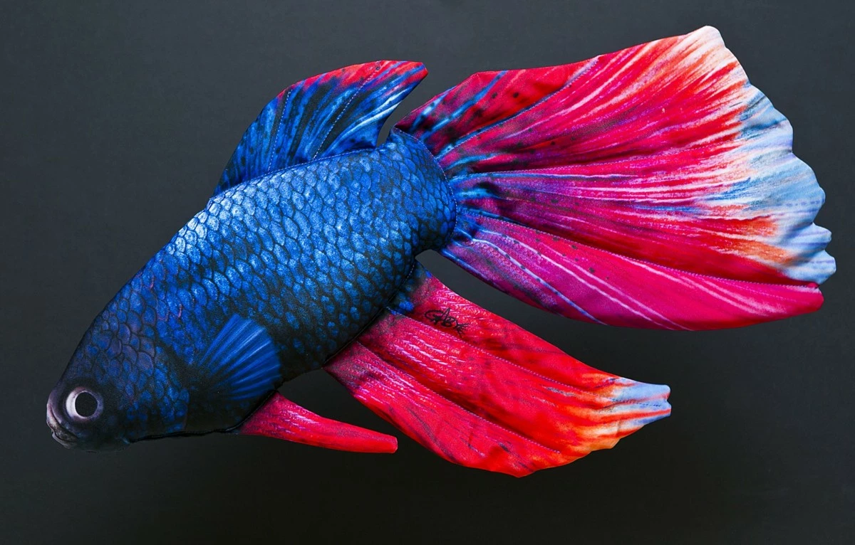 GABY Polštářek Bojovnice standart 53cm