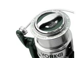 Delphin YORK