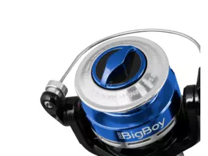 Delphin BIGBOY