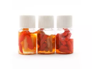 ENTERPRISE TACKLE Enterprise nástrahy v dipu - Moučný červ Richworth Tutti Frutti 20ks