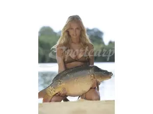 TFG Babes Calendar 2014