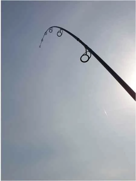 SPORTEX prut Catapult CS-3 Carp 2-díl