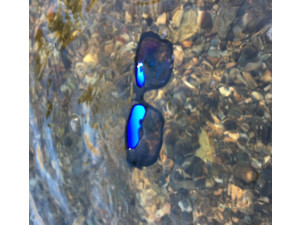 GIANTS FISHING Polarizační brýle Polarized Glasses Deluxe